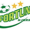 Φορτούνα Χιόρινγκ (Γ)