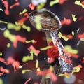 NFL – Super Bowl: Το πρώτο μπετ