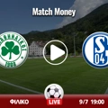 Παναθηναϊκός - Σάλκε LIVE STREAMING*