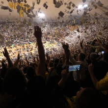 tipster-background-image