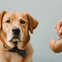 tipster-background-image