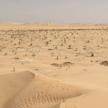 tipster-background-image