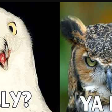 tipster-background-image