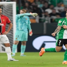 tipster-background-image