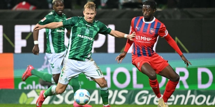 Heidenheim-Werder.jpeg