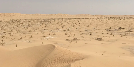 Screenshot_2 (1).png