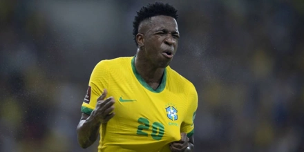 Vini3.jpg