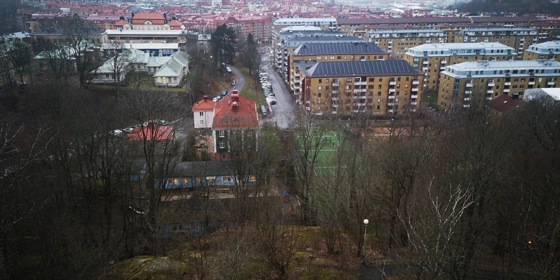 Γιάννης Δρόσος: Ο κορονοϊός αλά... σουηδικά
