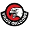 Βίκος Falcons