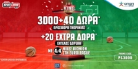 PAMESTOIXIMA-PS3000-13-10.jpg